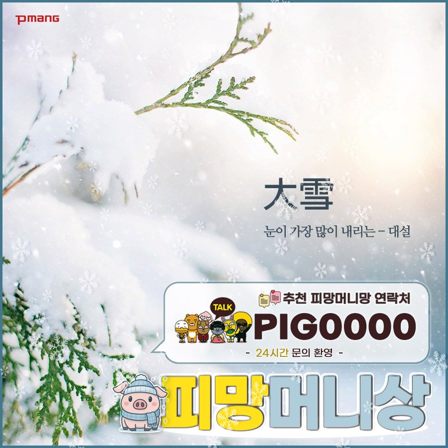 대설 피망머니상