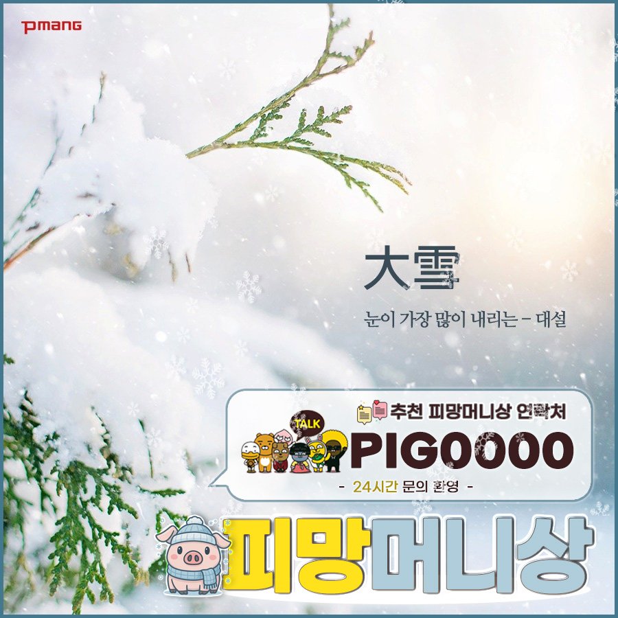 대설 피망머니상