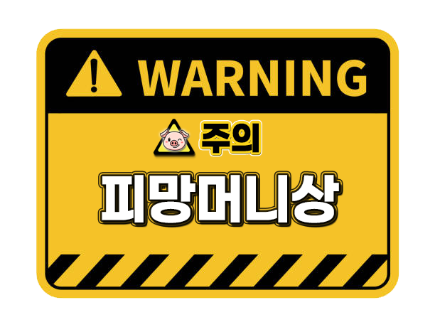 피망머니상 이용 시 주요 위험 요소